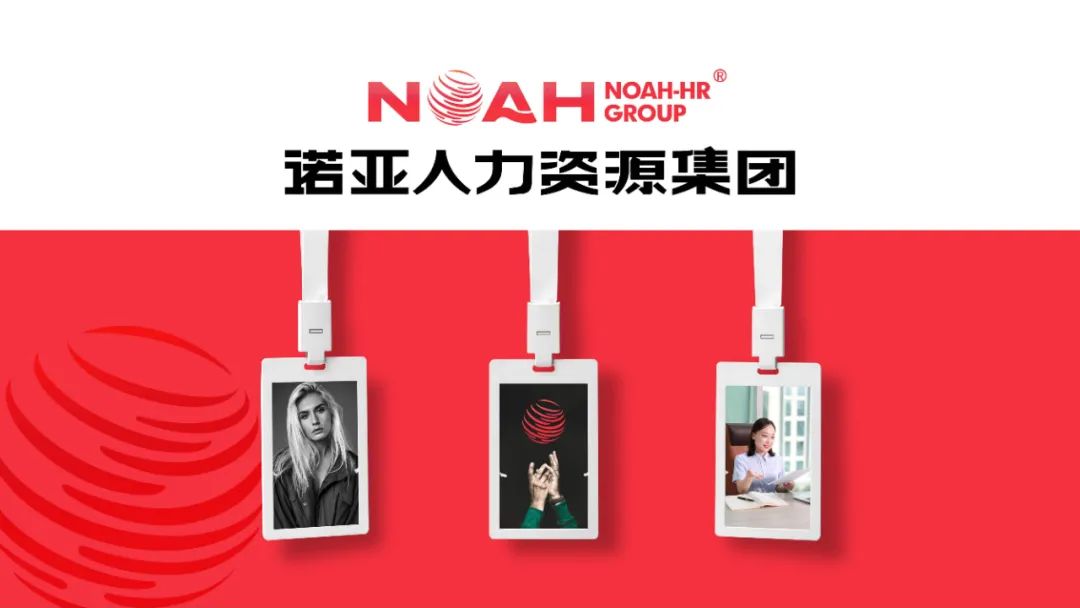 經(jīng)營產值56.58億，利稅總額1.6億 | 諾亞集團2024年企業(yè)發(fā)展年報新鮮出爐